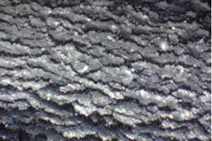 晶間腐蝕案例 晶間腐蝕案例